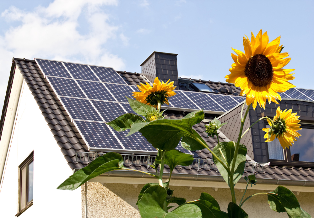 choisir le terrain de sa maison bioclimatique