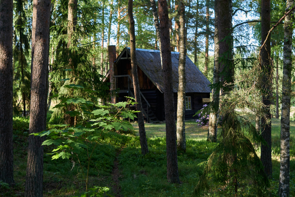 finitions pour ma maison en bois